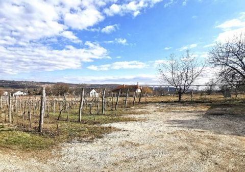 Eladó Telek 8617 Kőröshegy , Köröshegyen borospincével közművel ipari árammal