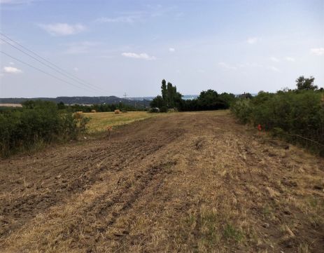 Eladó Telek 8174 Balatonkenese Balatonkenese, zártkerti 
