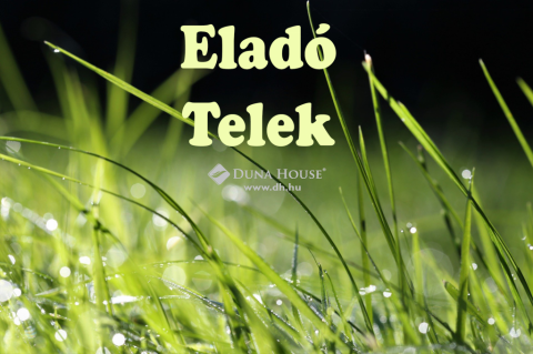 Eladó Telek 4485 Nagyhalász , Berti csemege parkolója