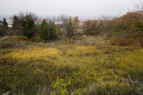 Eladó Telek 2541 Lábatlan Duna panoráma