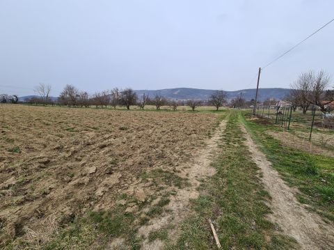 Eladó Telek 7800 Siklós Siklós-Máriagyűdön építési telek eladó!