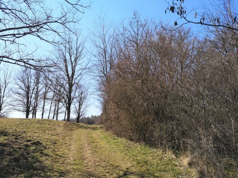 Eladó Telek 8225 Szentkirályszabadja , zártkert