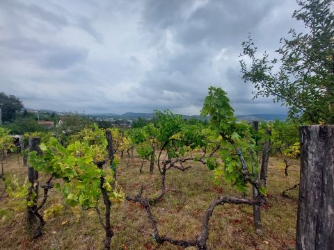 Eladó Telek 2045 Törökbálint Raktárvárosi út MOL közelében