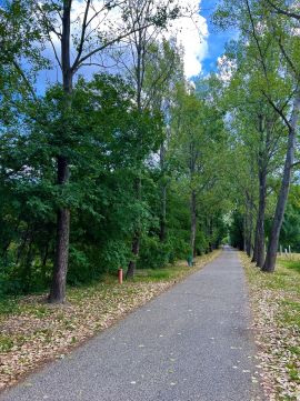 Eladó Telek 8242 Balatonudvari 