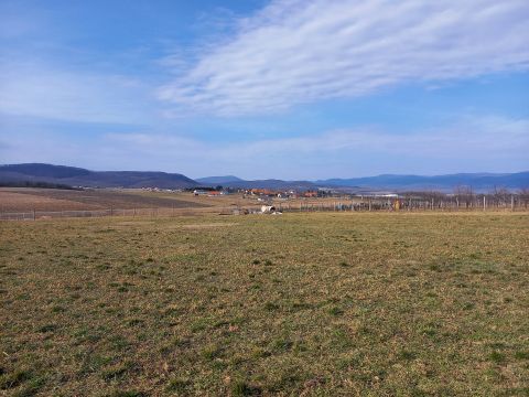 Eladó Telek 2641 Berkenye , Kossuth utca