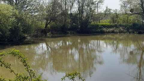 Eladó Telek 3980 Sátoraljaújhely 