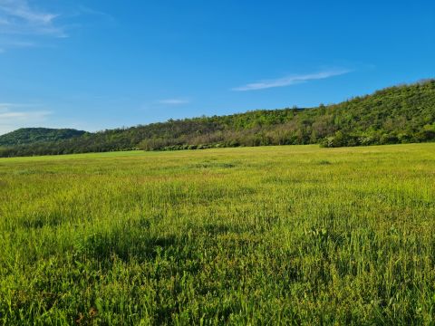 Eladó Telek 2517 Kesztölc 