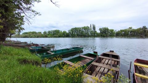 Eladó Ház 6067 Tiszaalpár Tiszaalpár