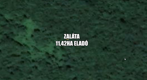 Eladó Mezőgazdasági 7839 Zaláta 