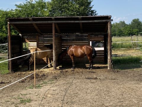 Eladó Mezőgazdasági 2163 Vácrátót Botanikus kert közelében