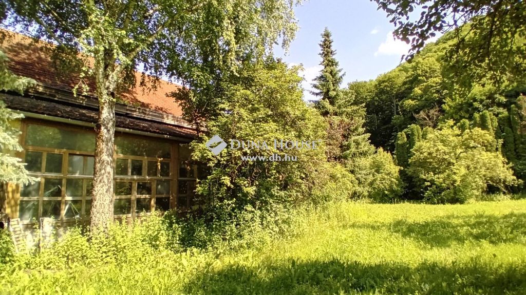 8441 Márkó , természetközeli — 1/31