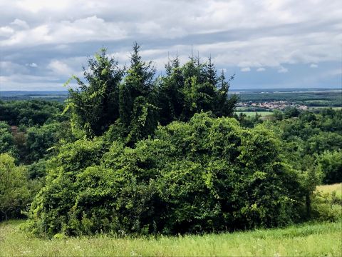 Eladó Telek 8900 Zalaegerszeg 