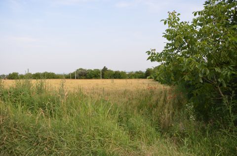 Eladó Telek 8152 Kőszárhegy MEZŐGAZDASÁGI TELEK