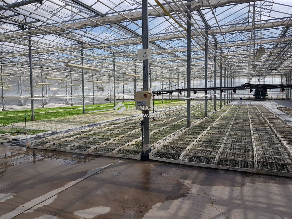 6000 Kecskemét , Rentábilis működésű vállalkozás 1Ha üvegház, 8,5Ha területtel. — 1/34
