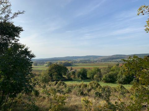 Eladó Telek 8245 Pécsely Öreghegy zártkerti övezet