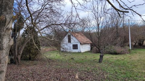 Eladó Telek 7761 Kozármisleny 