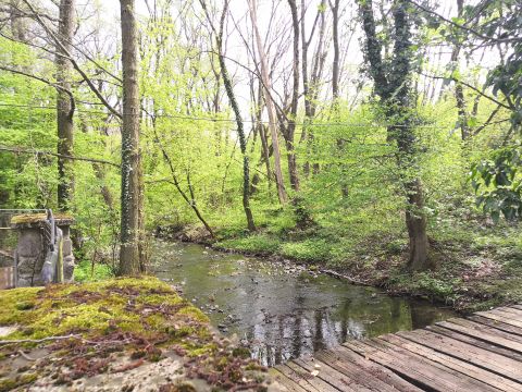 Eladó Telek 2000 Szentendre , BELTERÜLETI, LAKÓÖVEZETI, 5120M2-es telek a Bükkös - patak partján, Lke/8 besorolás, osztható!