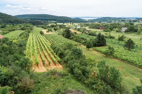 Eladó Telek 8227 Felsőörs 