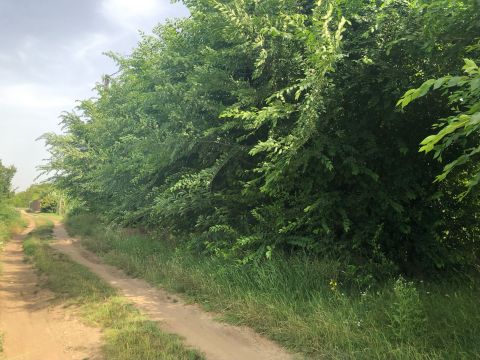 Eladó Telek 8000 Székesfehérvár 