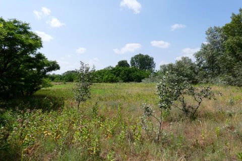 Eladó Telek 2764 Tápióbicske , 2764 Tápióbicske, Tápióbicske