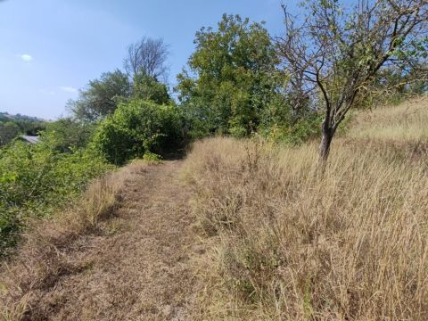 Eladó Telek 8137 Mezőkomárom Mezőkomáromban gyönyörű panorámával művelésre alkalmas telek eladó.