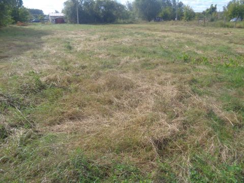 Eladó Telek 8000 Székesfehérvár Maroshegyen külterületi telek