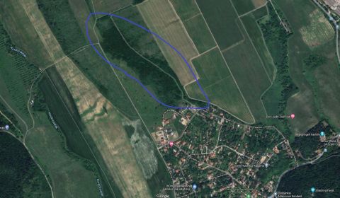 Eladó Mezőgazdasági 2013 Pomáz , Pomázon 2,5 H-os erdő