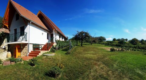 Eladó Mezőgazdasági 2851 Környe Öreghegy
