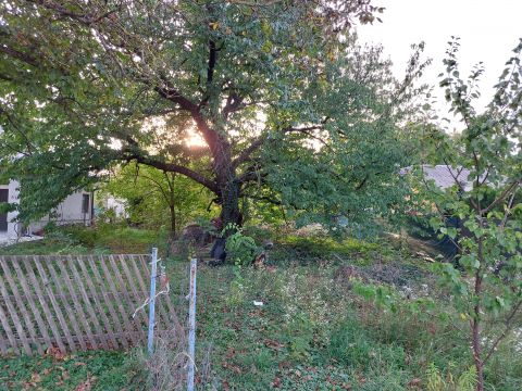 Eladó Telek 2458 Kulcs 1187 m2-es belterületi, Lf övezeti besorolású telek