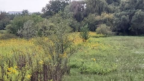 Eladó Telek 2837 Vértesszőlős 