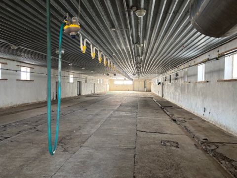 Eladó Mezőgazdasági 6100 Kiskunfélegyháza 