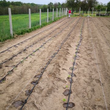 Eladó Telek 8130 Enying , Enying dinamikusan fejlődő, újépítésű részén építési telek eladó