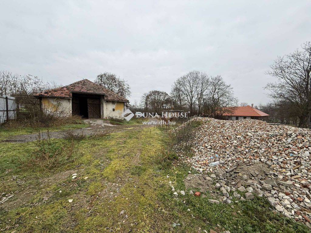 2215 Káva , ELADÓ AZ M4-es AUTÓÚT KÖZELÉBEN 2,4 Ha TERÜLET — 1/11