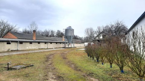 Eladó Tároló/Raktár 2723 Nyáregyháza Hatalmas raktározási, tárolási lehetőség 2000 nm-en