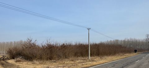 Eladó Mezőgazdasági 4511 Nyírbogdány Bevezető út mellett