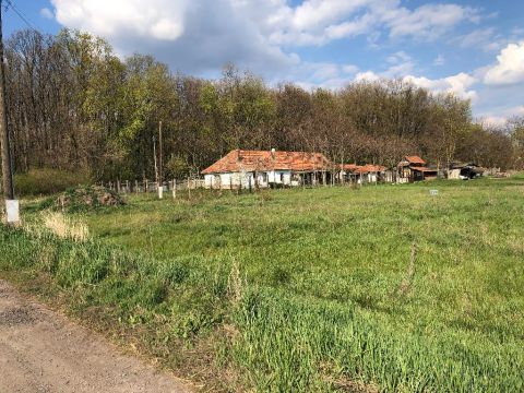 Eladó Telek 5700 Gyula 5700 Gyula, Máriafalva