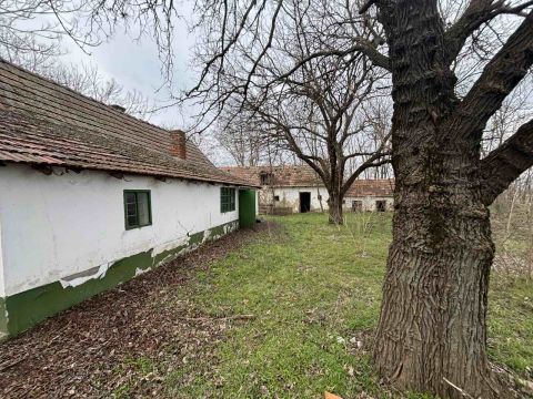 Eladó Mezőgazdasági 6000 Kecskemét , Kecskemét, Borbás