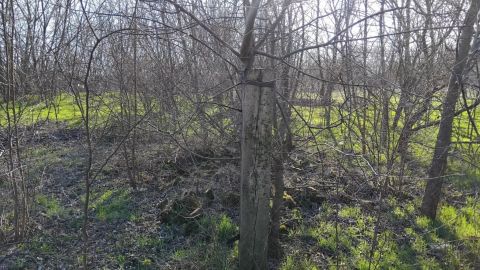 Eladó Telek 6000 Kecskemét , Galambos köz