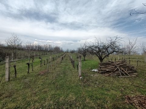 Eladó Telek 8681 Látrány 