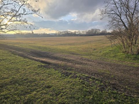 Eladó Telek 2461 Tárnok 