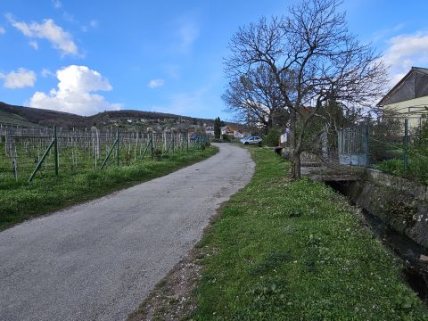 Eladó Telek 7634 Pécs , Eladó építési telek az Egyetemi Borászat határában