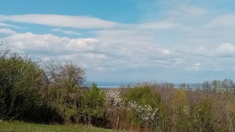 Eladó Telek 8600 Siófok , Töreki városrészben, panorámás, 3944 nm-es telek