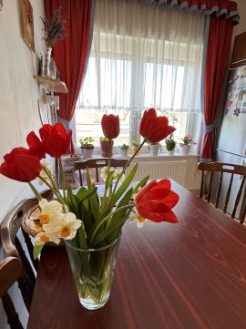 Eladó Ház 8200 Veszprém Eladó családi ház - Veszprém