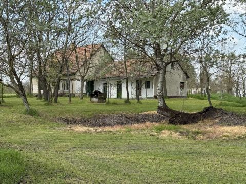 Eladó Ház 6097 Kunadacs Tanya 0,8 ha területtel, további 2,5 ha terület vásárolható