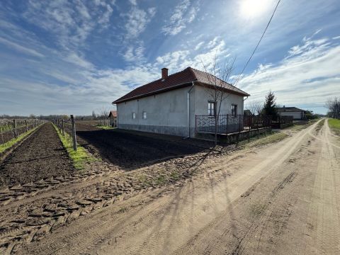 Eladó Ház 5471 Tiszakürt , Felújított családi ház akár nagy területtel is, gazdálkodni.