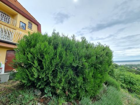 Eladó Ház 2481 Velence , Örök Panoráma!!