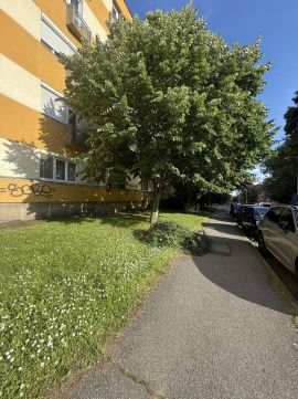 Eladó Lakás 7622 Pécs 