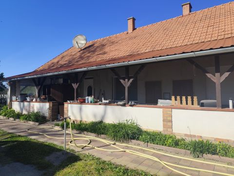 Eladó Ház 2364 Ócsa Ócsán felújított ház önellátásra alkalmas telekkel
