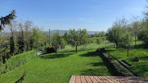 Eladó Ház 8308 Zalahaláp Haláp tanúhegyen kisbirtok ERDŐVEL!