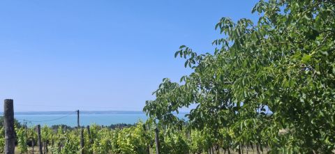 Eladó Telek 8174 Balatonkenese 